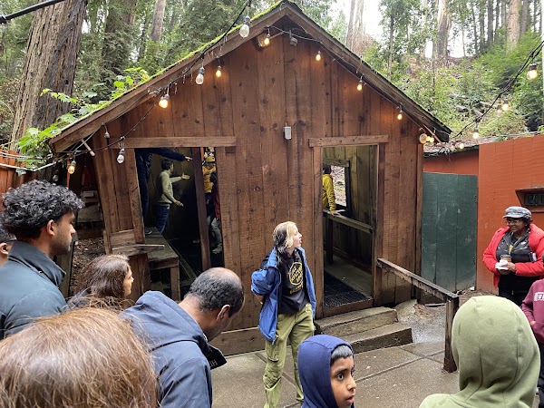 The Mystery Spot 5