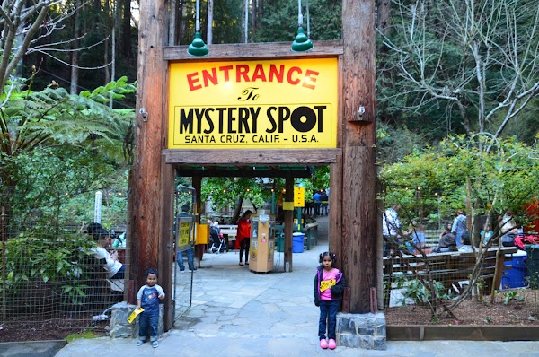 The Mystery Spot 4