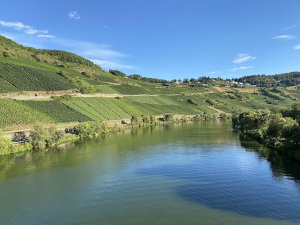 Moselle 3