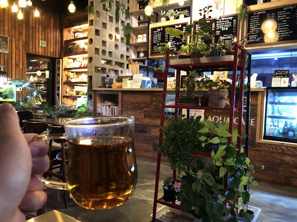guppy+coffee 3
