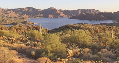 Bartlett Lake