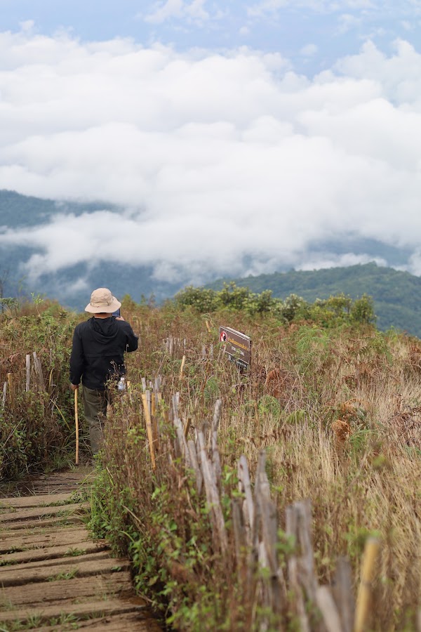 Kew Mae Pan Nature Trail