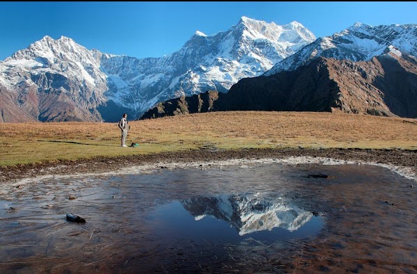 Chaukhamba 1