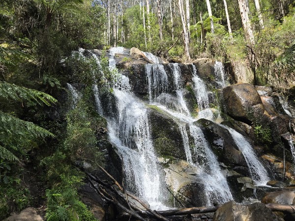 Amphitheatre Falls lookout