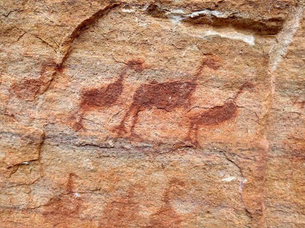 Serra da Capivara National Park 2