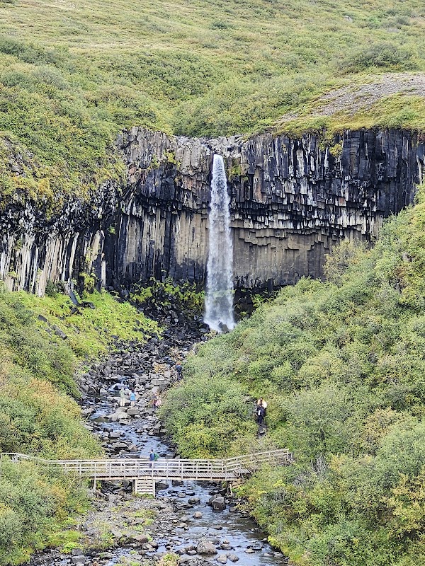 Svartifoss 5