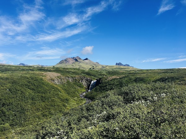 Svartifoss 2