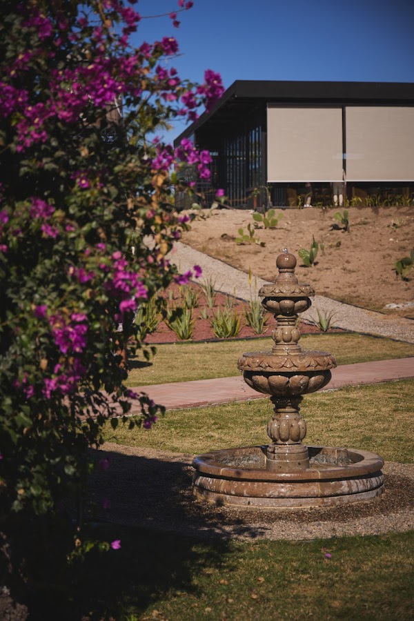 COSECHA FARM TO TABLE 3