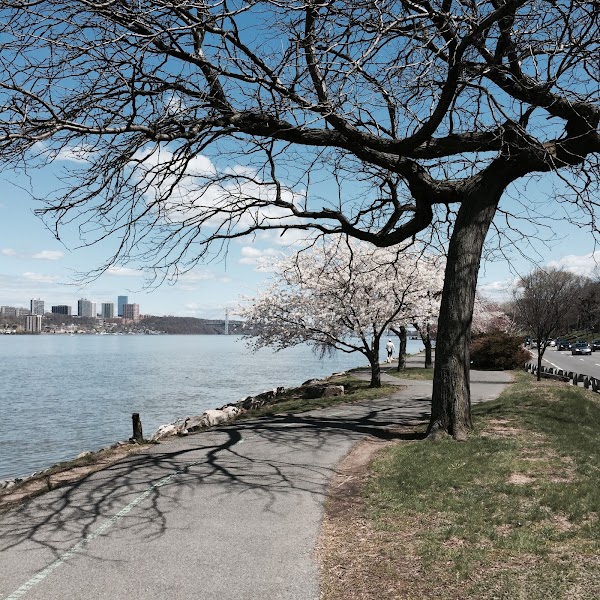 Cherry Walk