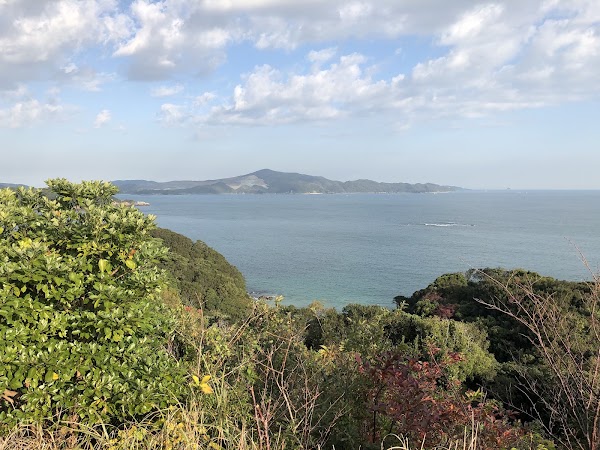 Toba