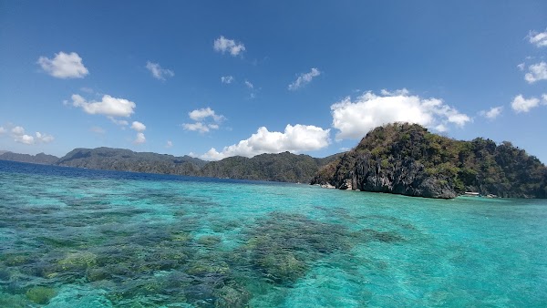 Smith Coral Garden 1