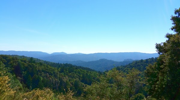 Santa Cruz Mountains 1