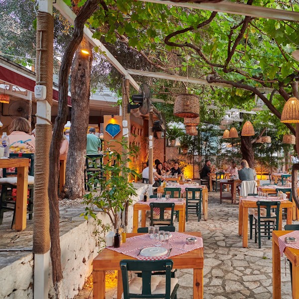 Demeti Kaş 1