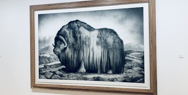 Haugar kunstmuseum 2