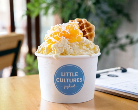 Little Cultures 4