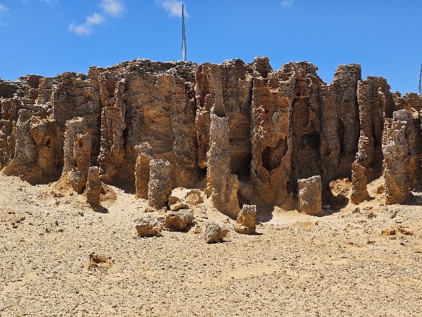 Petrified Forest