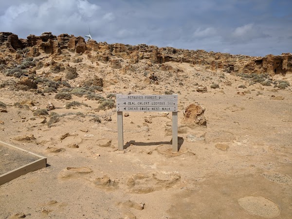 Petrified Forest 2