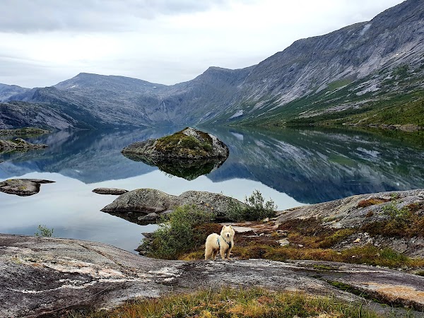 Norge 31