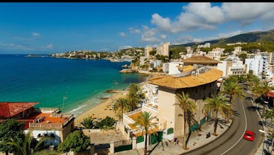 Palma 1