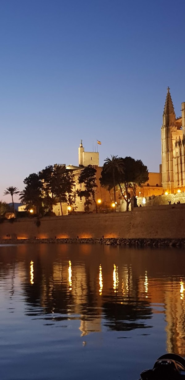 Palma 5