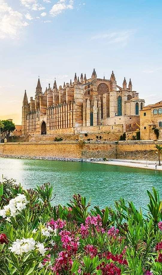 Palma 4