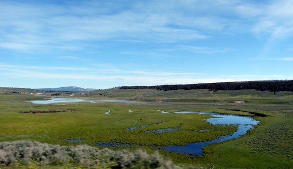 Hayden Valley 1