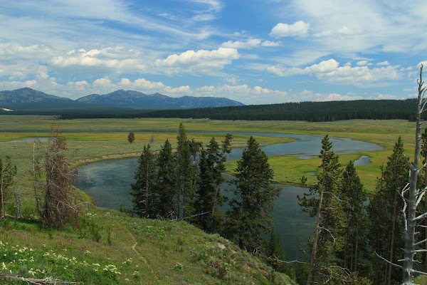 Hayden Valley 5