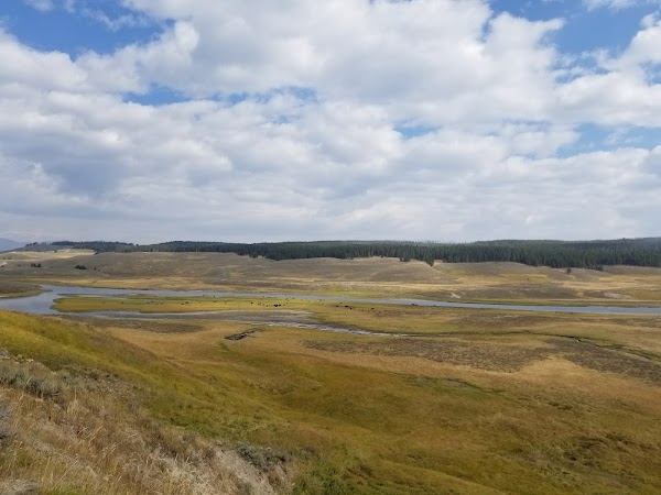 Hayden Valley 4