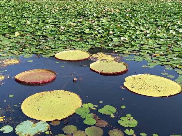 Samnak Ecological Park 4