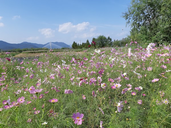 Samnak Ecological Park 3