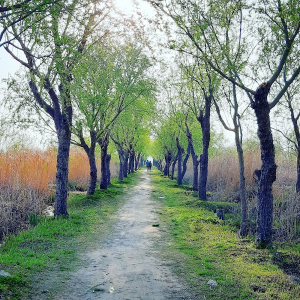 Samnak Ecological Park 2