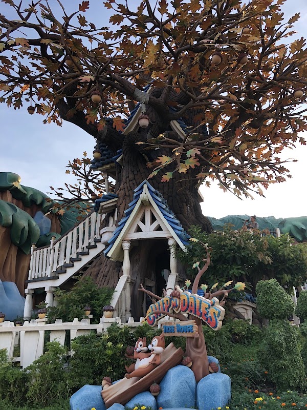 Chip 'n Dale's Treehouse