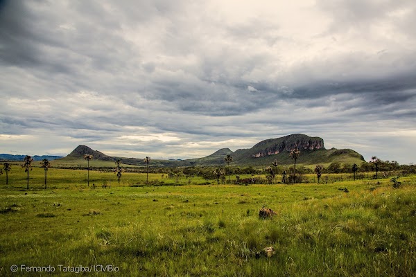 Parque Nacional da Chapada dos Veadeiros