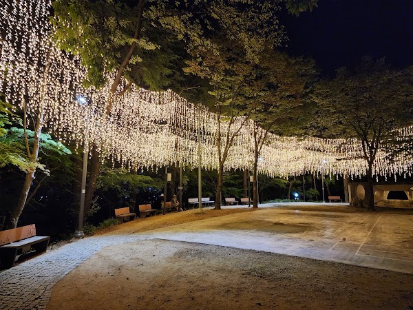 사직빛의숲