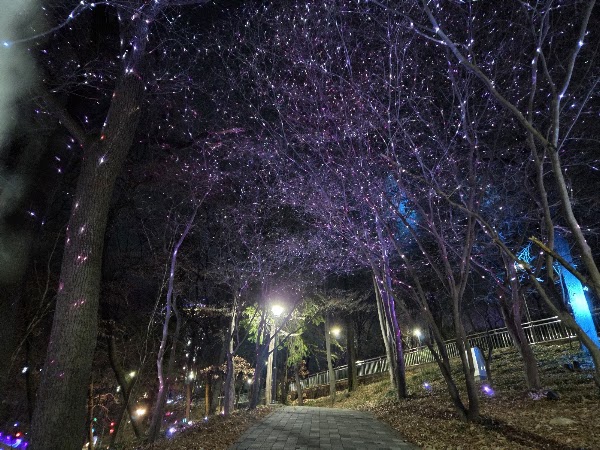 사직빛의숲 5
