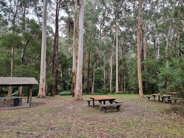 Sheoak Picnic Area