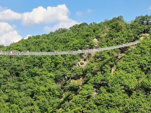 Geierlay Suspension Bridge 1