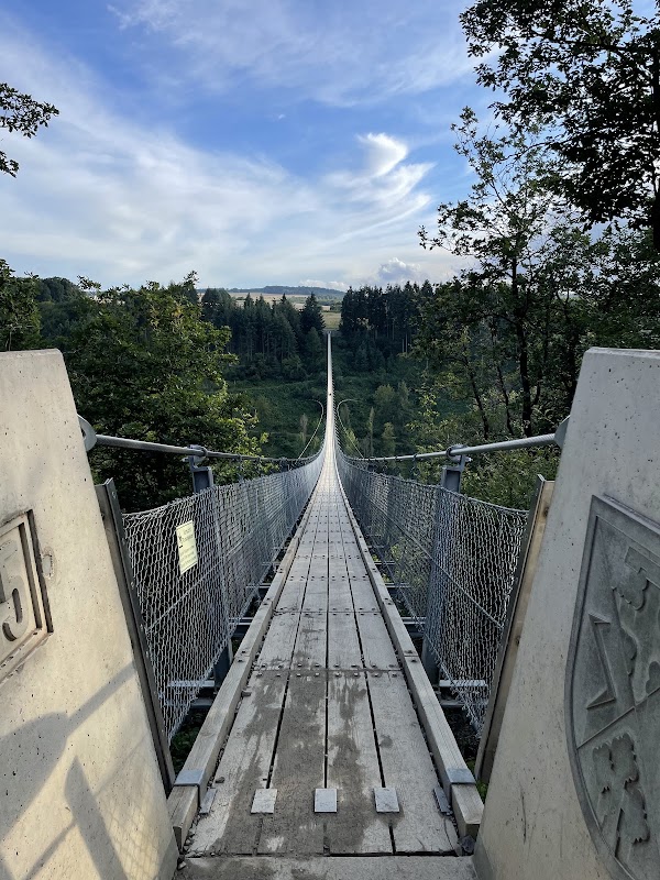 Geierlay Suspension Bridge 4