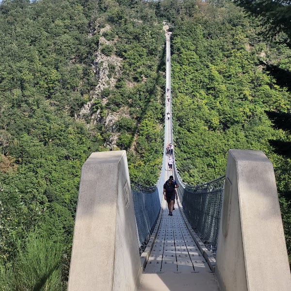 Geierlay Suspension Bridge 2