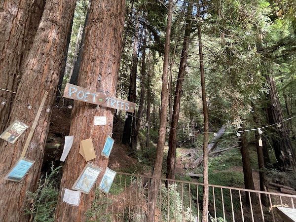 Henry Miller Memorial Library 3