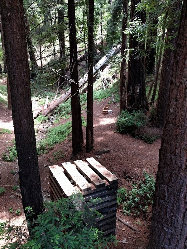 Henry Miller Memorial Library 2