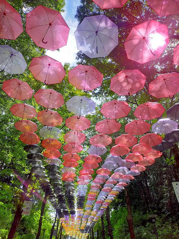 MOOMIN VALLEY PARK 5