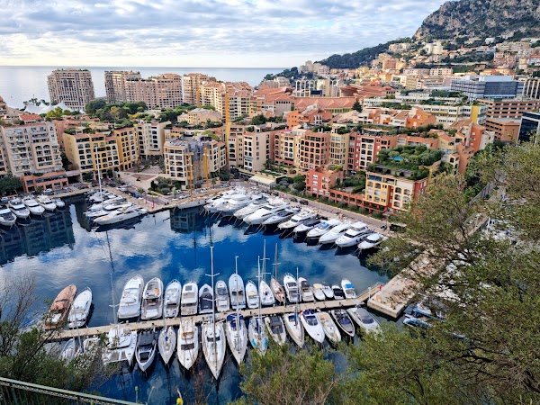 Port of Fontvieille Viewpoint