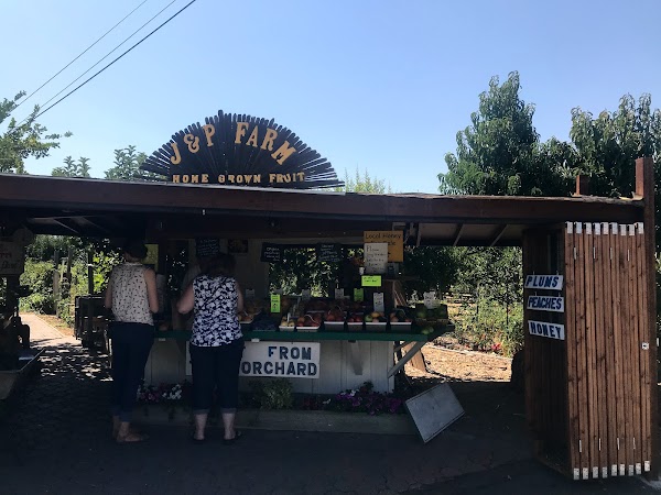 J&P Cosentino Family Farm 1