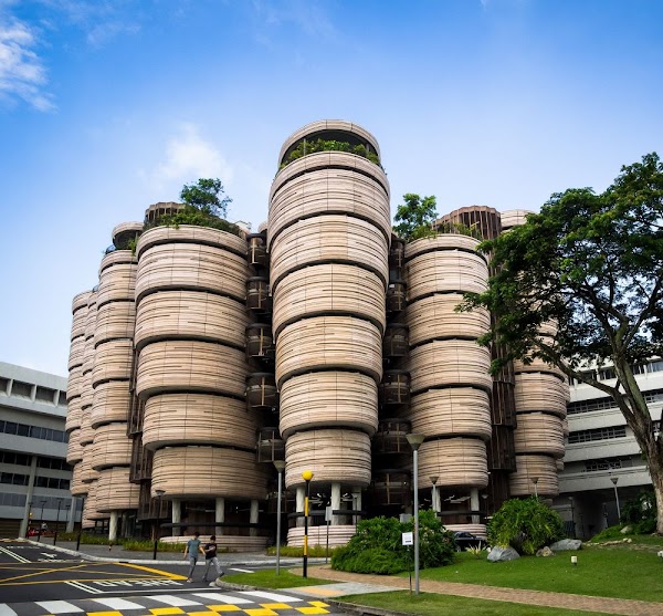 The Hive (Learning Hub South - LHS)