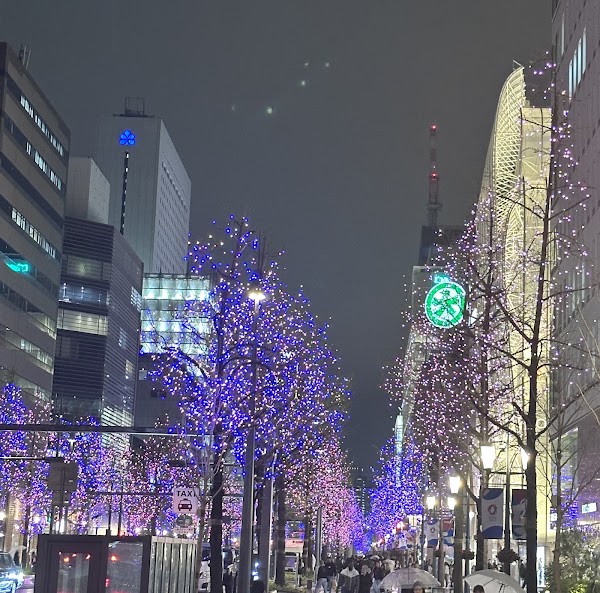 Dotonbori River 5