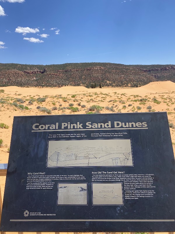 Coral Pink Sand Dunes State Park 5