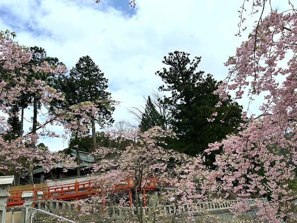 Nomiyama Kannonji Temple