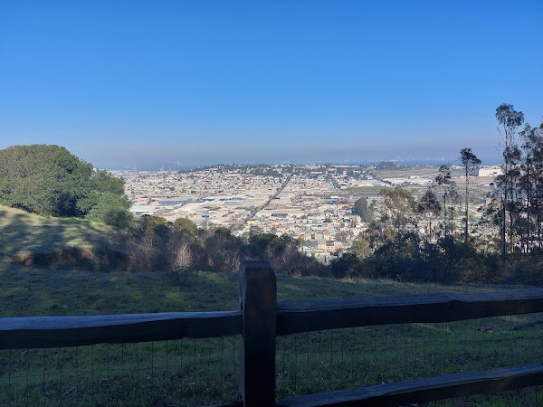 Bayview 4