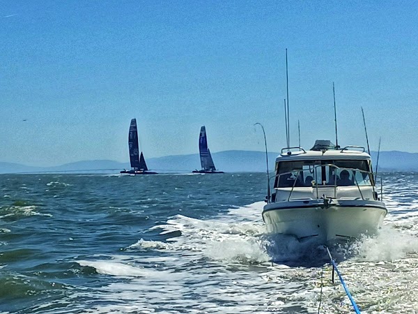 Bayview 2